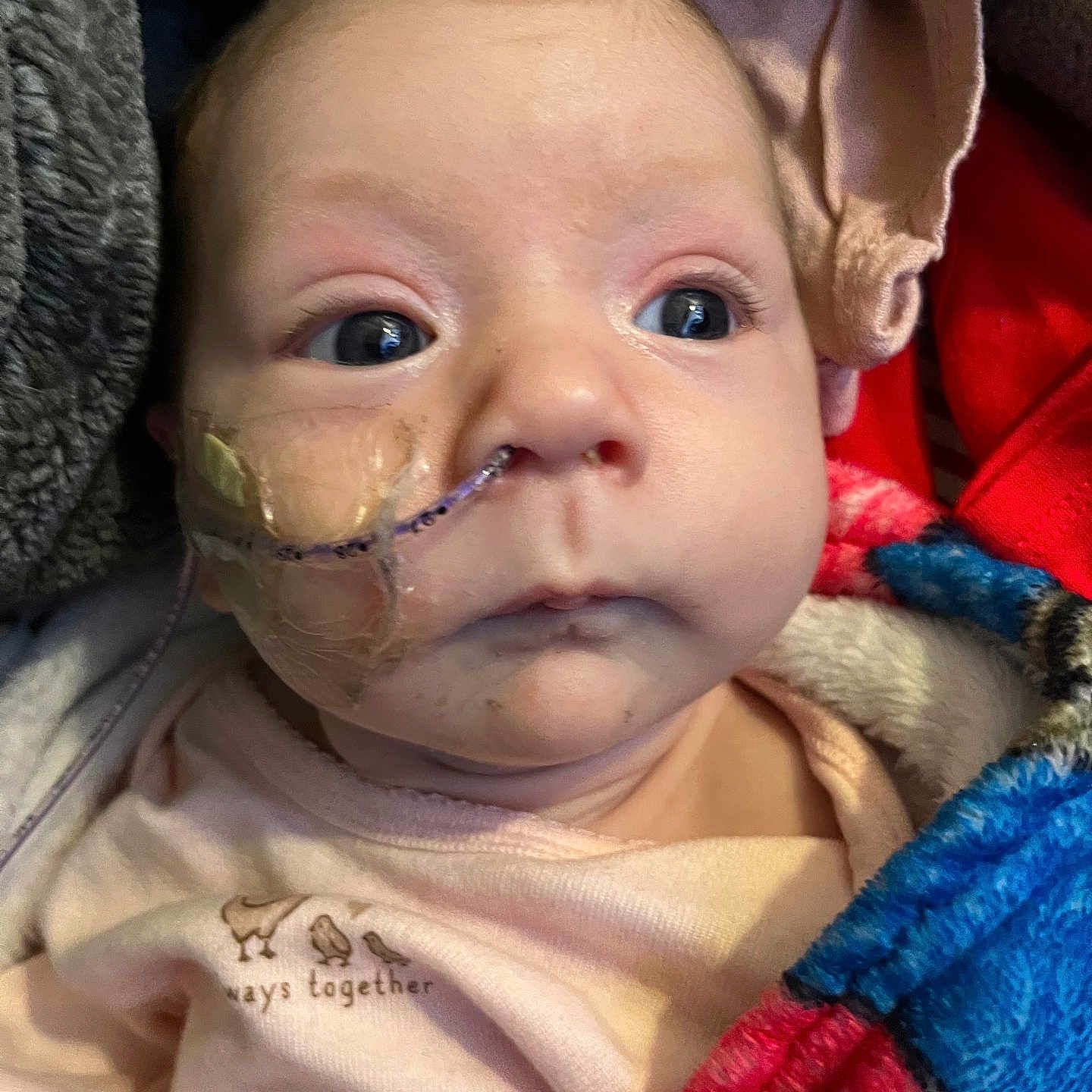 Pazleigh joined the competition — help win amazing prizes! baby, blanket, cheeks, closeup, clothing, colorful_blanket, cozy, eyes, face, feeding_tube, gaze, healthcare, indoors, infant, medical_tape, nasogastric_tube, newborn, onesie, portrait, soft_texture