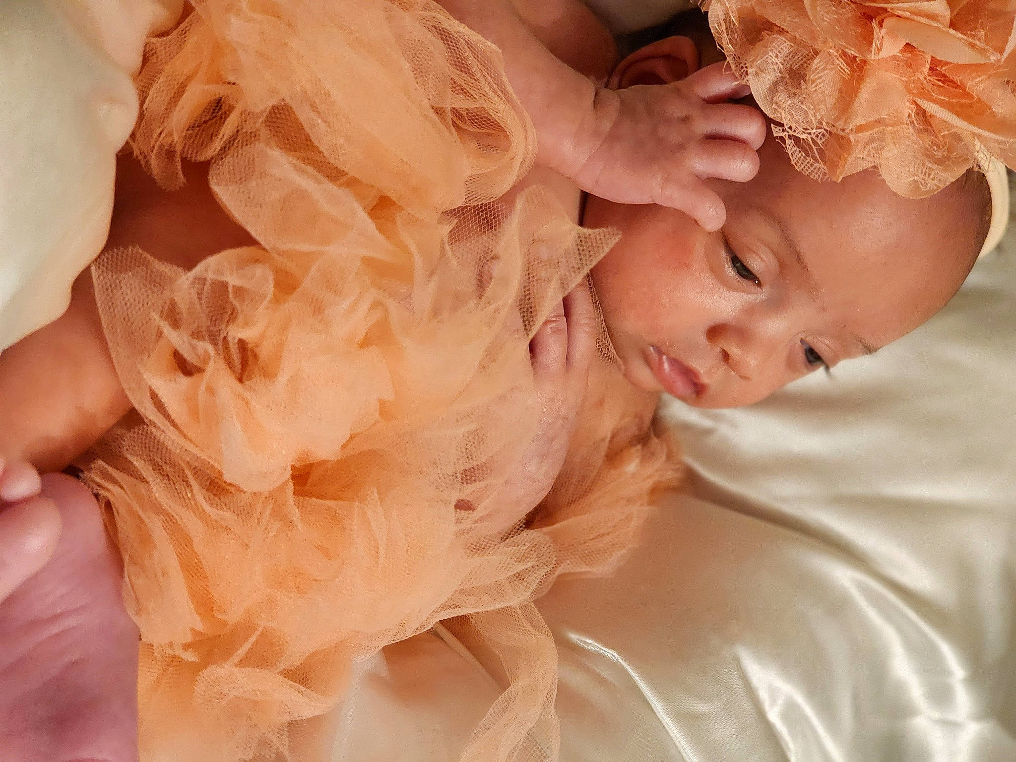 Jacqueline joined the competition — help win amazing prizes! bridal_accessory, bridal_clothing, brown_hair, comfort, dress, embellishment, event, eyelash, fashion_accessory, finger, flash_photography, gesture, hair_accessory, happy, headpiece, iris, jewellery, peach, person, petal