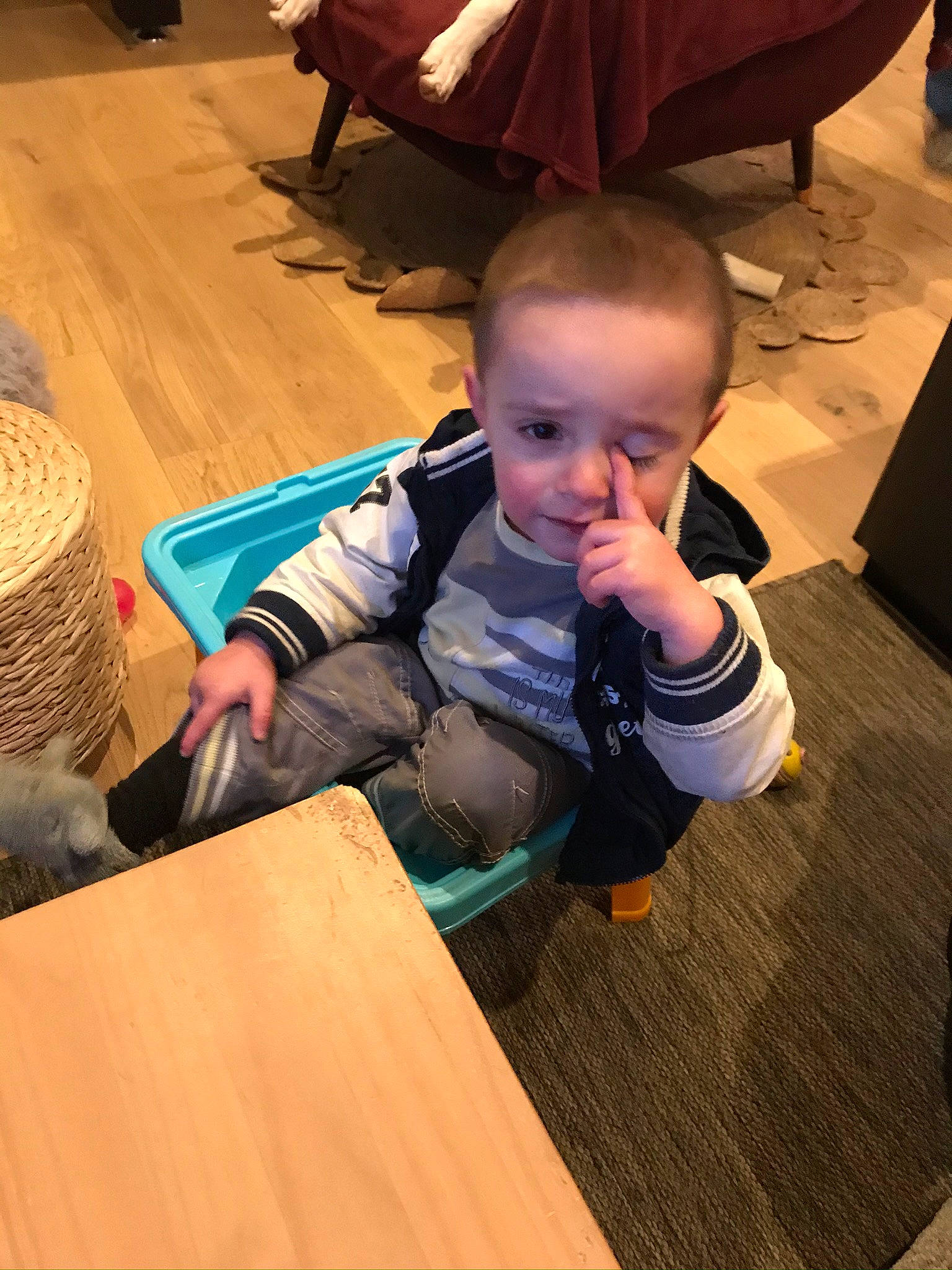 Mylann a rejoint le concours — aidez-le/la à gagner de superbes lots ! baby, baby_toddler_clothing, basket, chair, child, comfort, flooring, fun, hardwood, laminate_flooring, person, play, room, sitting, storage_basket, t_shirt, toddler, varnish, wood, wood_flooring