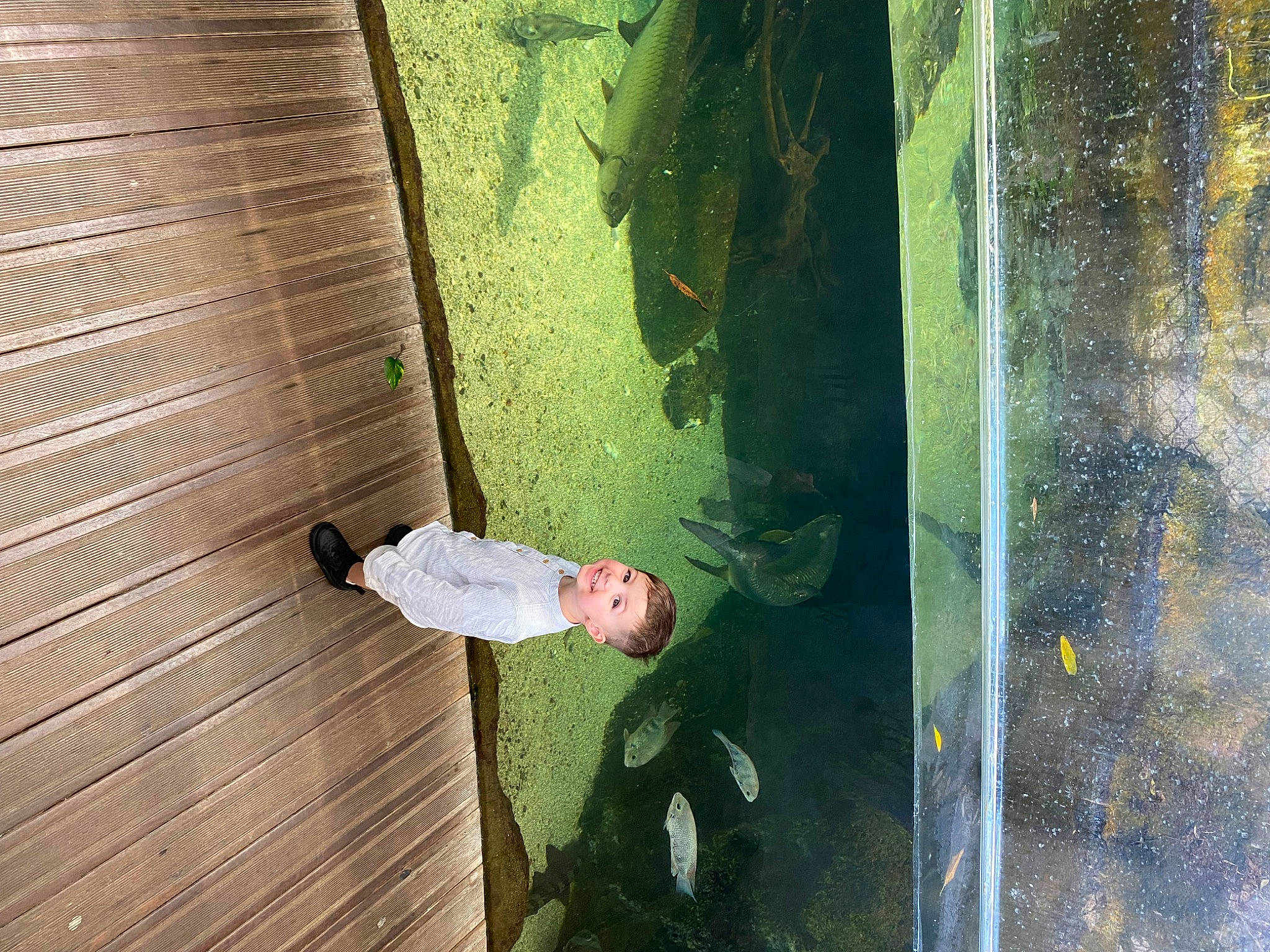 élyo participe au concours pour gagner de l'argent avec cette photo : flooring, glass, grass, hardwood, joy, landscape, leaf, leisure, people_in_nature, person, reflection, shadow, tints_and_shades, wall, wood