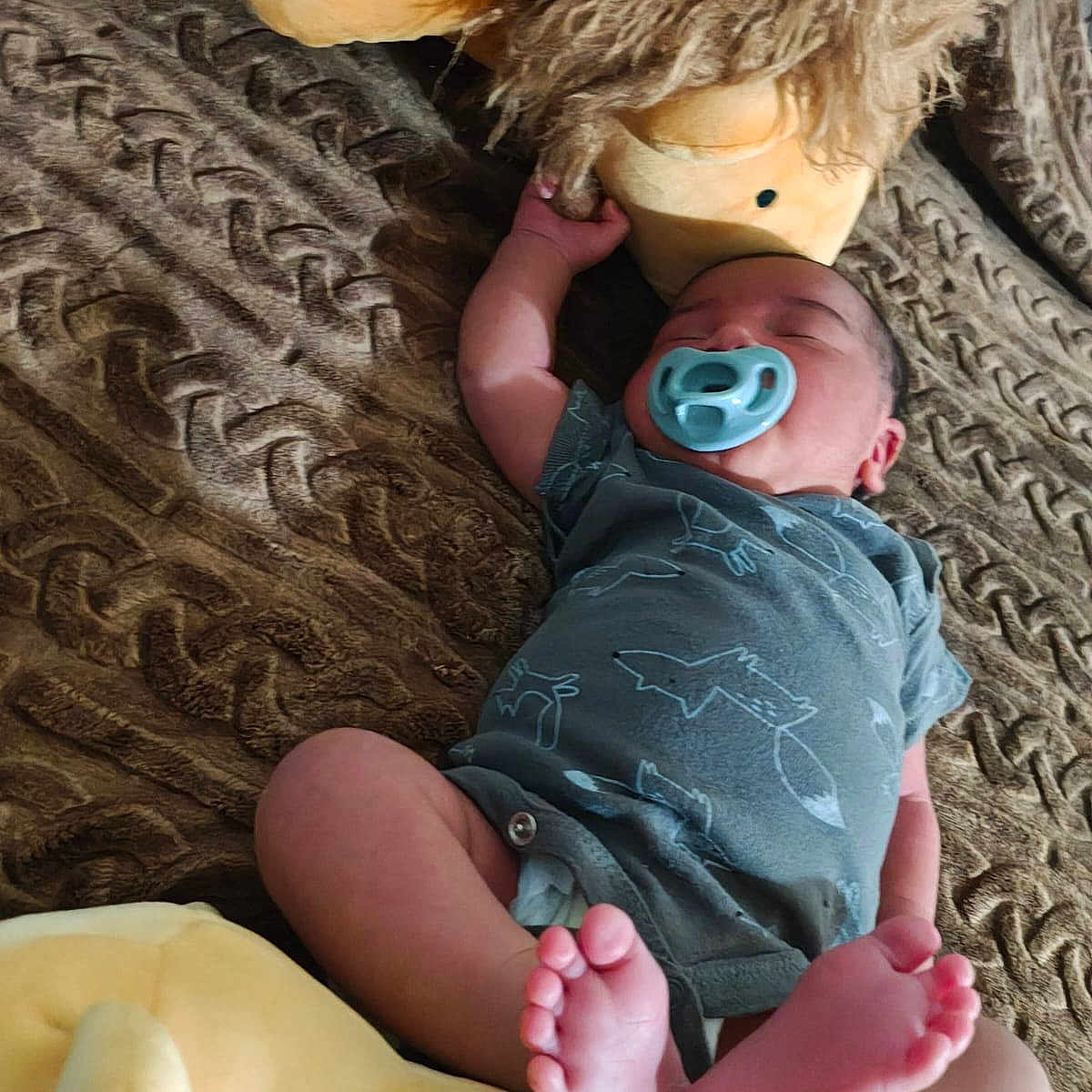 Jeremias joined the competition — help win amazing prizes! baby, bed, bedroom, clothing, couch, cushion, face, furniture, head, homedecor, newborn, pants, person, photography, pillow, plush, portrait, shorts, sleeping, toy