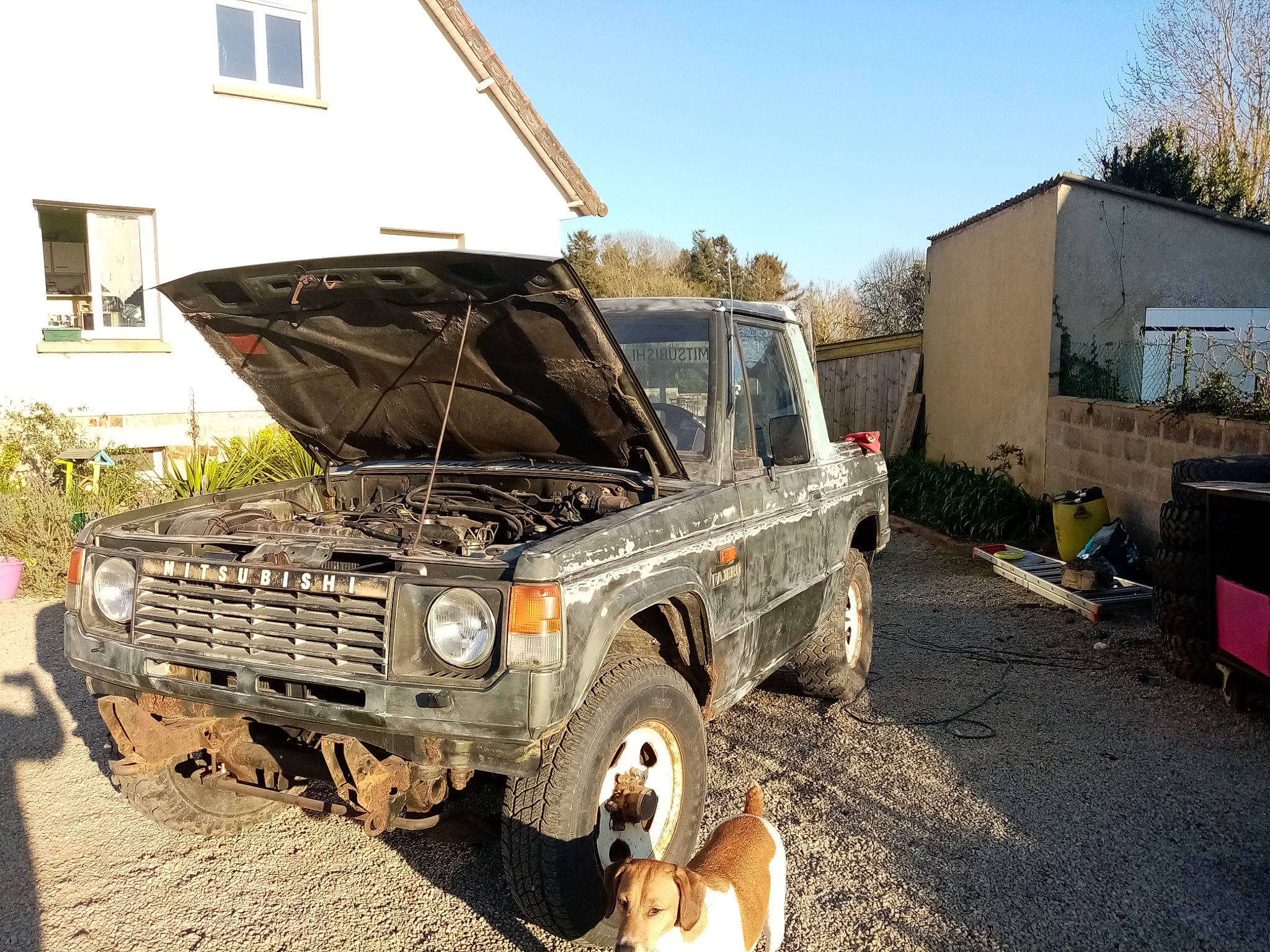 Maya participe au concours pour gagner de l'argent avec cette photo : car, family_car, hardtop, mitsubishi, mitsubishi_pajero, off_road_vehicle, sport_utility_vehicle, vehicle