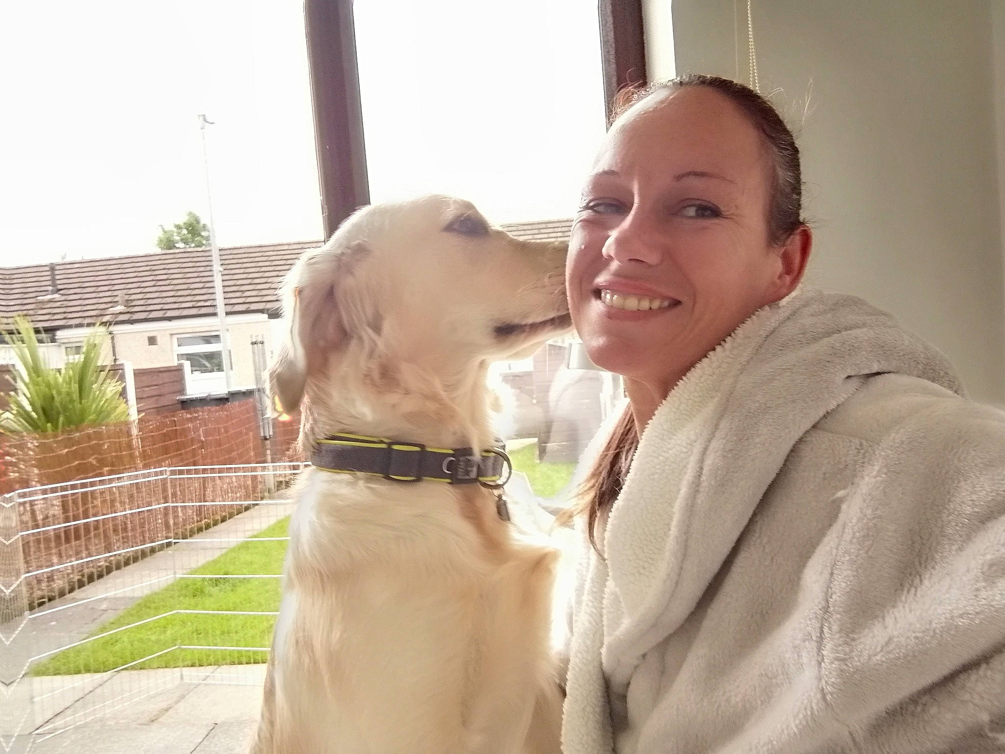 Marlow joined the competition — help win amazing prizes! building, carnivore, collar, companion_dog, dog, dog_breed, dog_collar, event, fawn, fence, gun_dog, happy, plant, retriever, sky, smile, snout, tree, window, working_animal