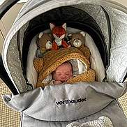 Orso participe au concours pour gagner de l'argent avec cette photo : newborn, baby, stroller, blanket, teddy_bear, fox_plush, sleeping, cozy, soft_toys, infant, child, cute, indoors, fabric, comfort, resting, baby_carrier, person, wrapped, peaceful