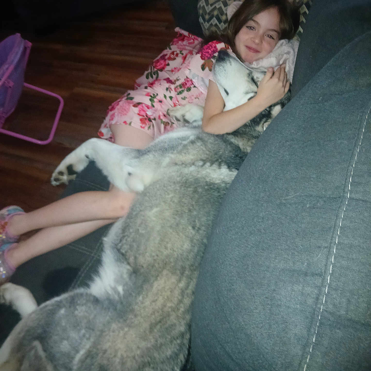 Freya is registered to the contest to win money with this photo: animal, architecture, building, canine, child, couch, cushion, dog, face, female, furniture, girl, head, homedecor, husky, indoors, person, pet, photography, portrait