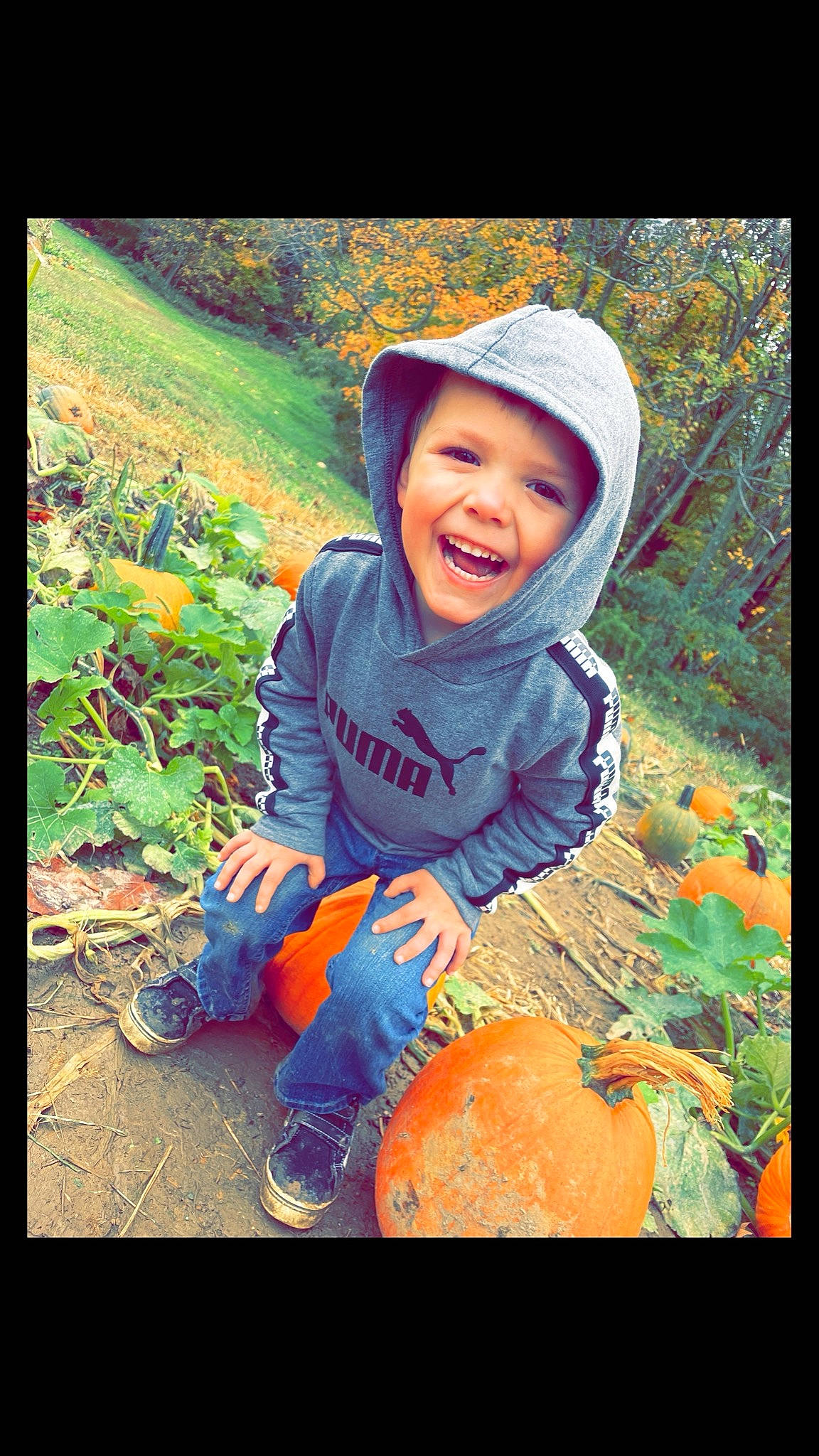 Brantlei joined the competition — help win amazing prizes! adaptation, calabaza, cap, cool, face, flash_photography, grass, happy, hat, headwear, organism, people_in_nature, person, plant, pumpkin, smile, sun_hat, t_shirt, tints_and_shades, toddler