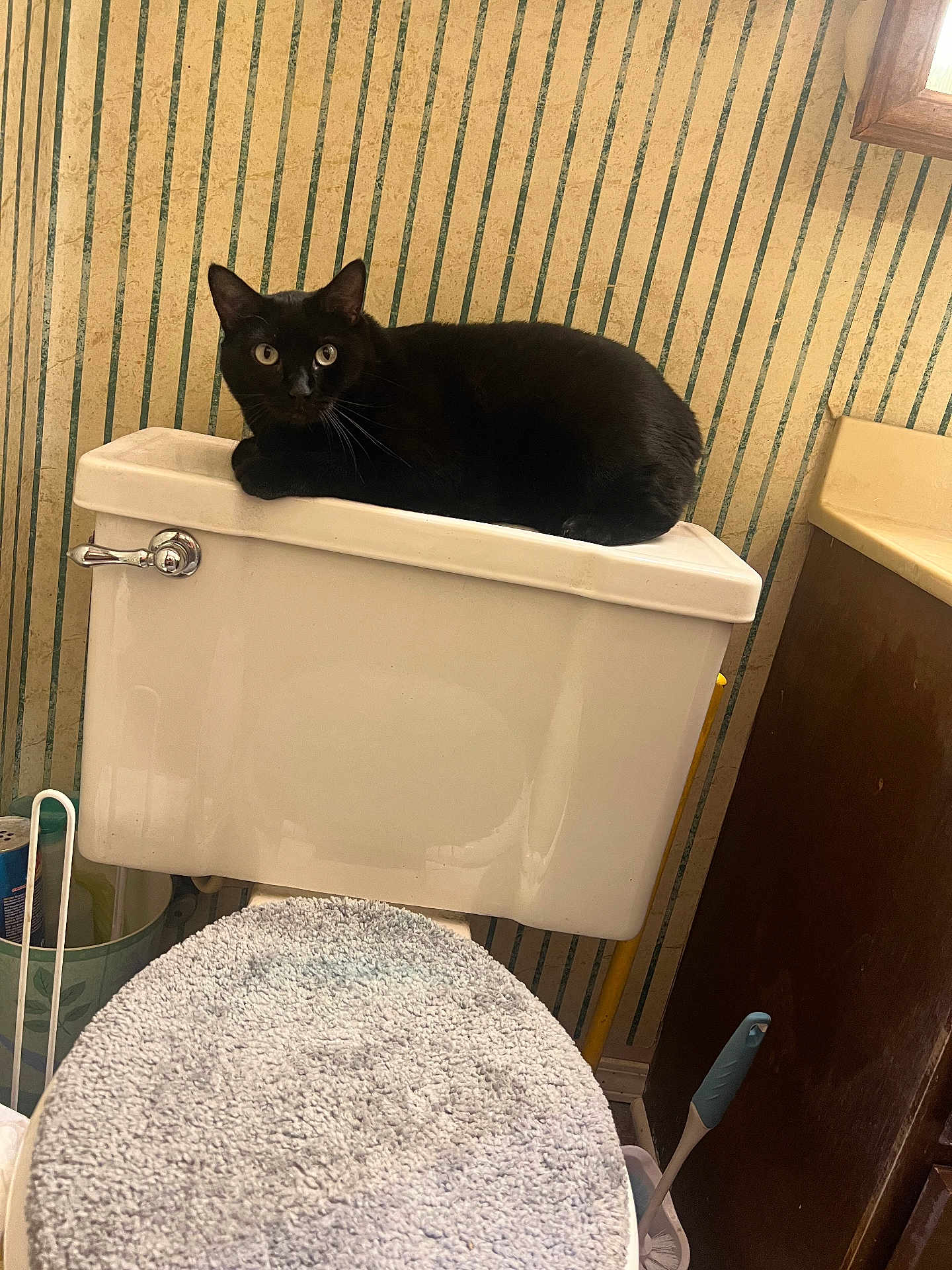 Binx