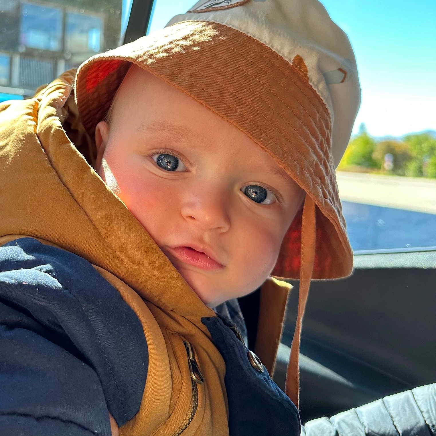 Lorenz a rejoint le concours — aidez-le/la à gagner de superbes lots ! blue_eyes, bucket_hat, car_interior, casual, child, closeup, clothing, coat, curious, face, hat, jacket, outdoor, person, portrait, sunlight, toddler, warm_clothing, window, young_child