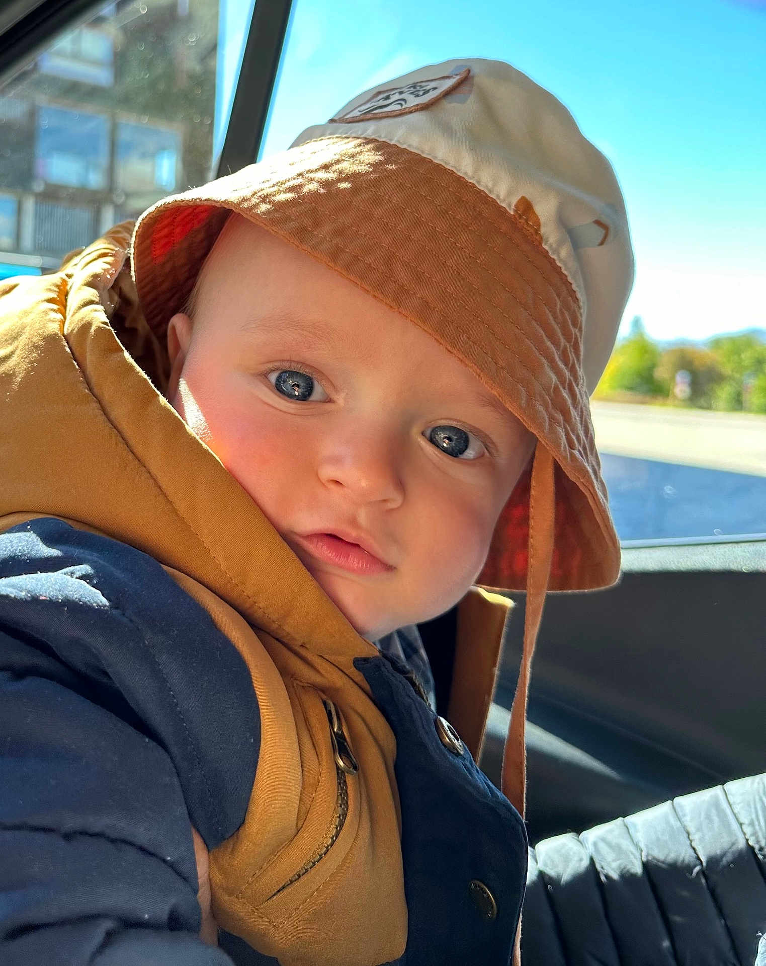 Lorenz a rejoint le concours — aidez-le/la à gagner de superbes lots ! toddler, child, face, hat, bucket_hat, blue_eyes, jacket, coat, outdoor, car_interior, window, sunlight, portrait, closeup, person, clothing, young_child, curious, casual, warm_clothing