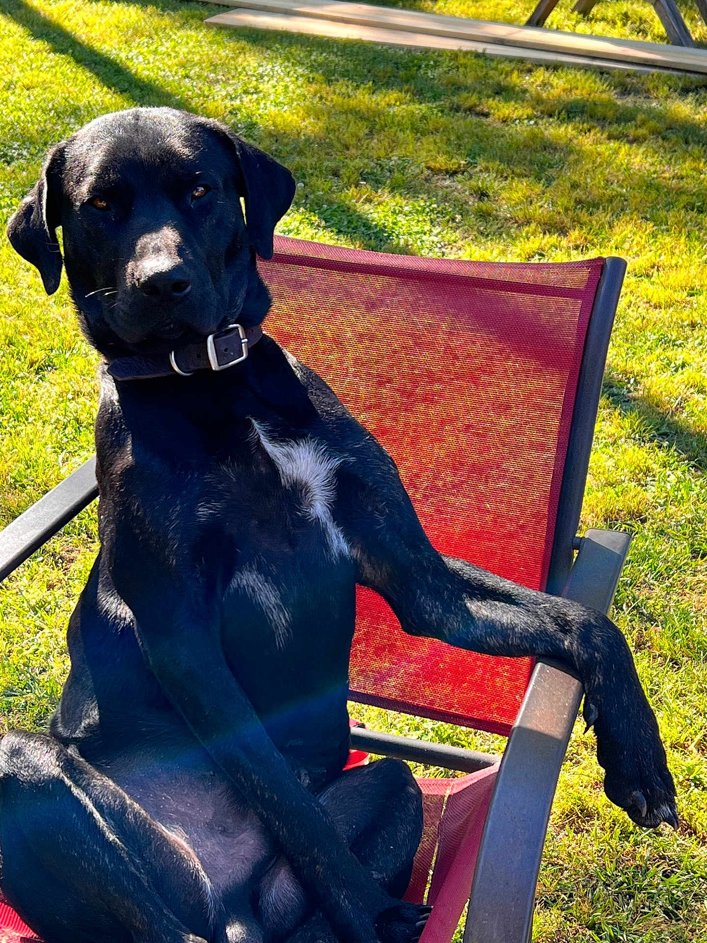 Roscoe