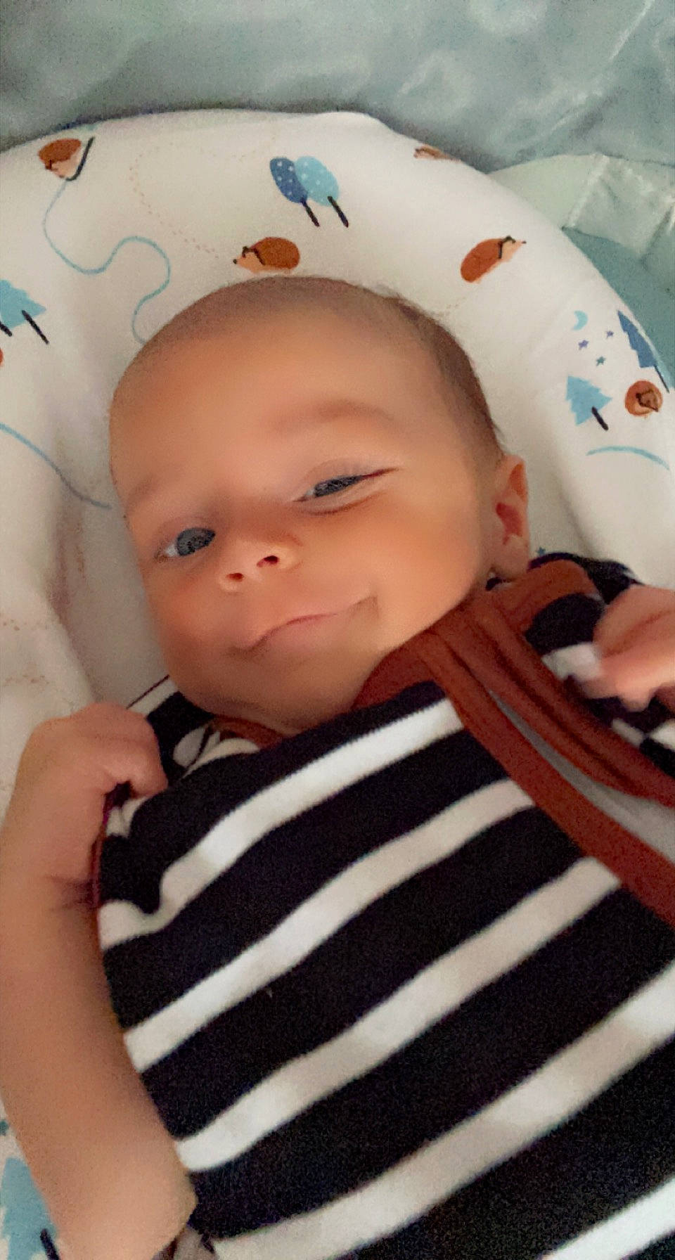 Lohan a rejoint le concours — aidez-le/la à gagner de superbes lots ! baby, baby_toddler_clothing, cheek, child, chin, collar, comfort, eye, eyebrow, facial_expression, happy, iris, lip, nose, pattern, person, skin, sleeve, smile, textile