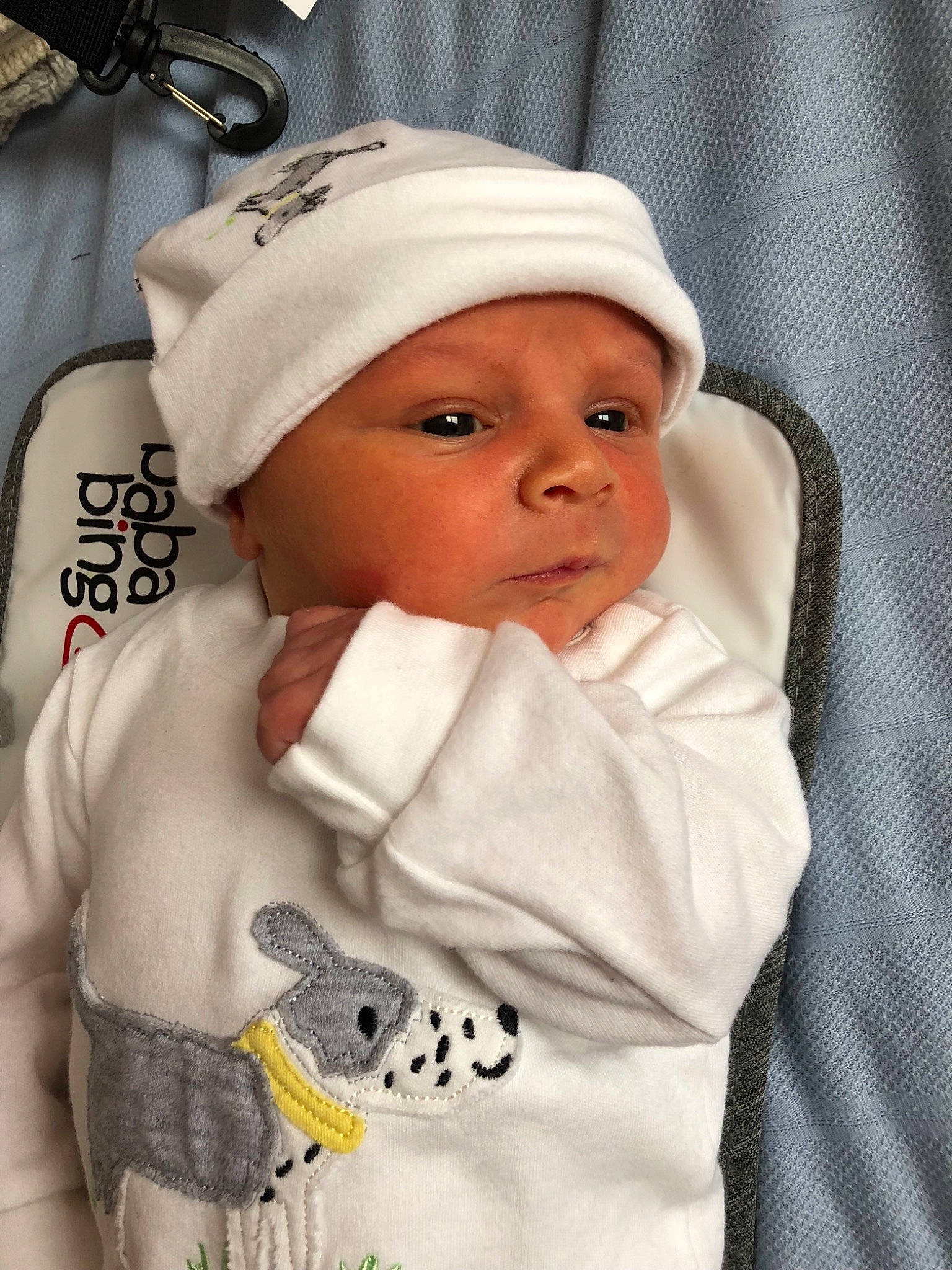 Bertie is registered to the contest to win money with this photo: baby, child, headgear, headwear, person, toddler