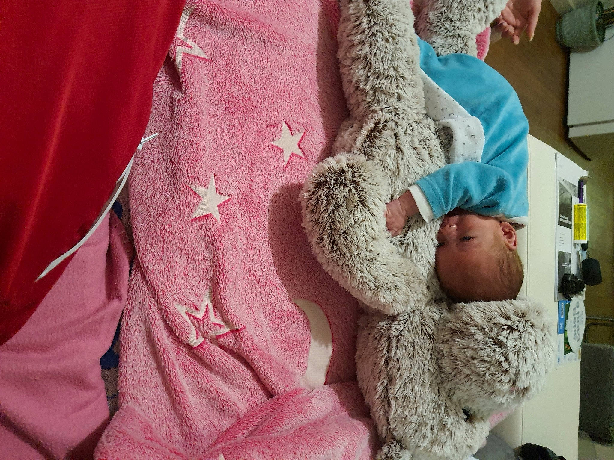 Liam a rejoint le concours — aidez-le/la à gagner de superbes lots ! child, comfort, denim, electric_blue, fashion_accessory, fashion_design, fur, human_body, linens, magenta, outerwear, pattern, peach, person, pink, purple, sleeve, t_shirt, tree, wool