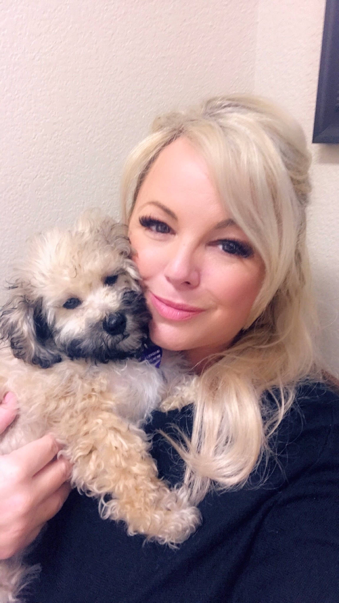 Magnolia joined the competition — help win amazing prizes! bolonka, canidae, carnivore, companion_dog, dog, dog_breed, hair, havanese, maltepoo, mammal, miniature_poodle, morkie, nose, person, poodle_crossbreed, puppy, puppy_love, schnoodle, shih_poo, skin