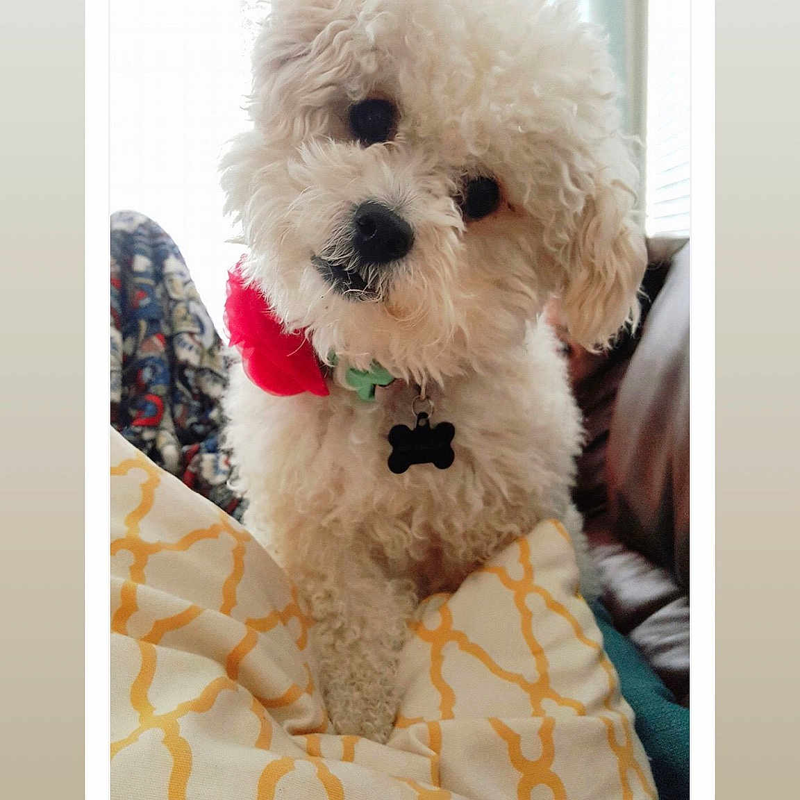 Macy