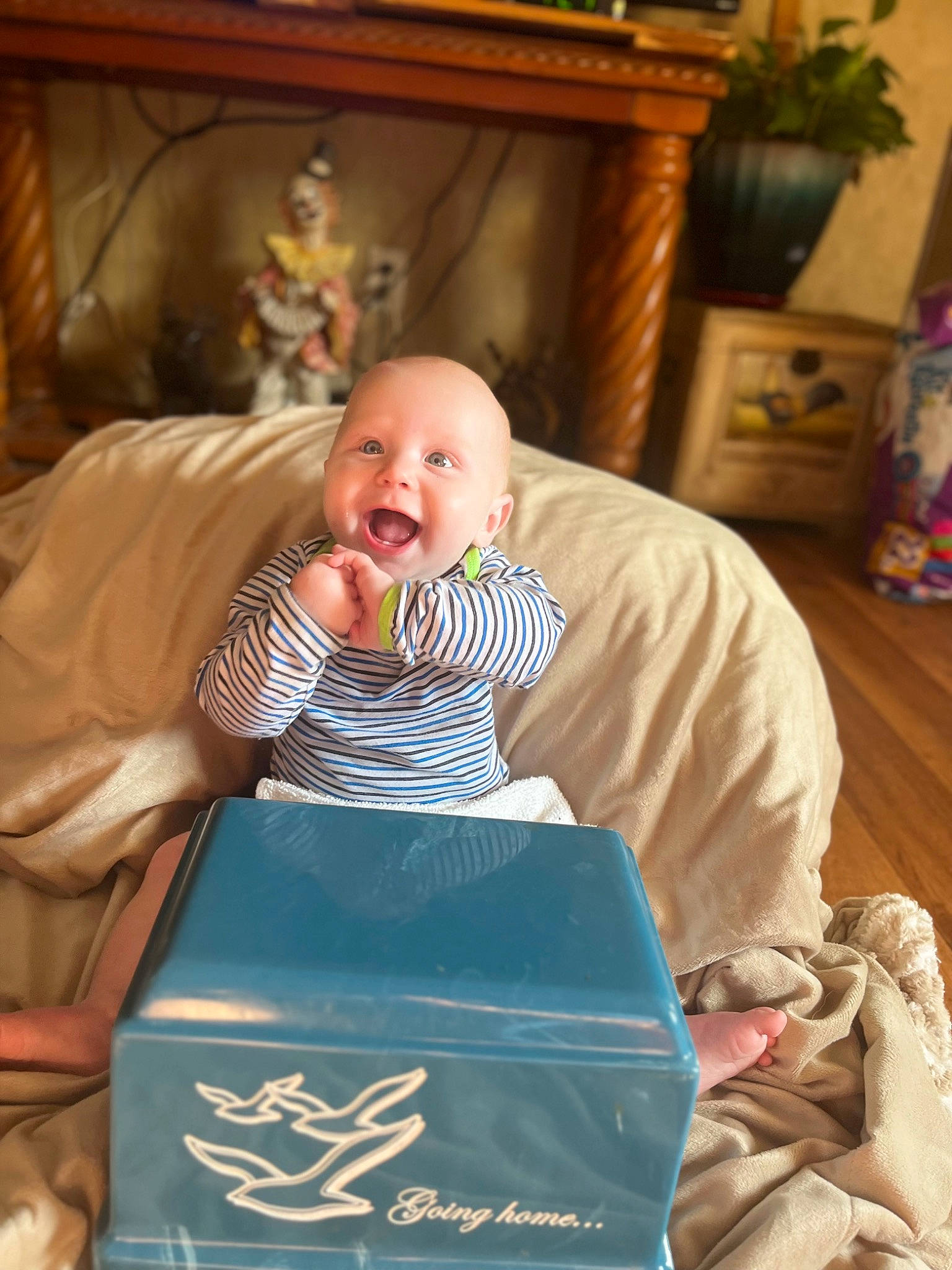 Kingsley is registered to the contest to win money with this photo: baby, baby_products, baby_safety, baby_toddler_clothing, child, comfort, flowerpot, happy, houseplant, linens, person, picture_frame, plant, room, sitting, smile, t_shirt, toddler, wood