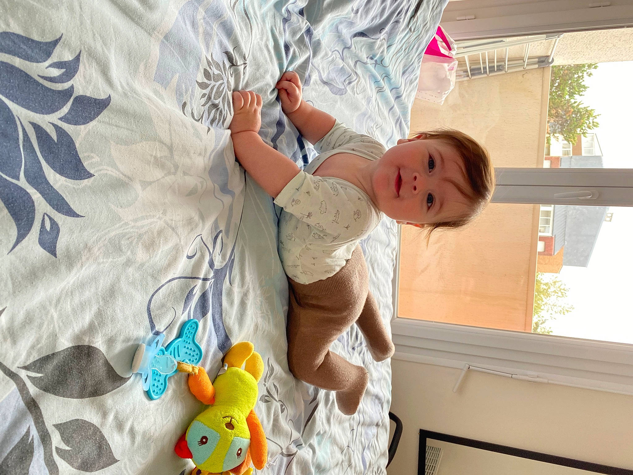 Léo a rejoint le concours — aidez-le/la à gagner de superbes lots ! baby, baby_products, baby_toddler_clothing, baby_toys, child, fashion_accessory, fun, happy, linens, pattern, person, product, room, smile, stuffed_toy, textile, toddler, toy, tree, white