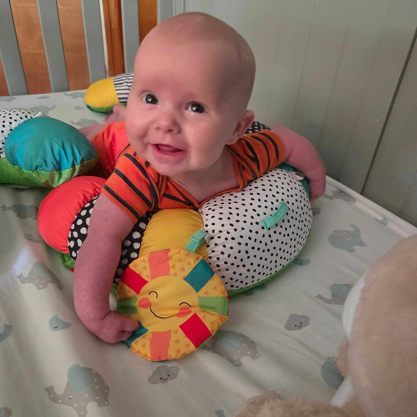Vincent joined the competition — help win amazing prizes! arm, baby, bedding, child, colorful, crib, cute, elephant_pattern, face, happy, head, indoors, infant, orange_clothing, person, pillow, plush_toy, polka_dots, smiling, toy