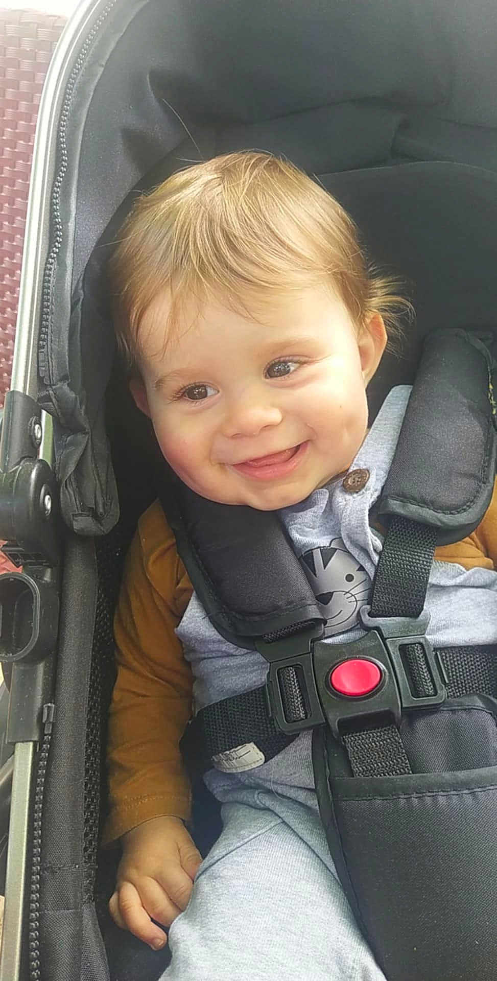Nino a rejoint le concours — aidez-le/la à gagner de superbes lots ! baby, child, stroller, smile, face, straps, clothing, seatbelt, cute, happy, infant, hand, hair, button, fabric, child_seat, safety, portrait, closeup, young