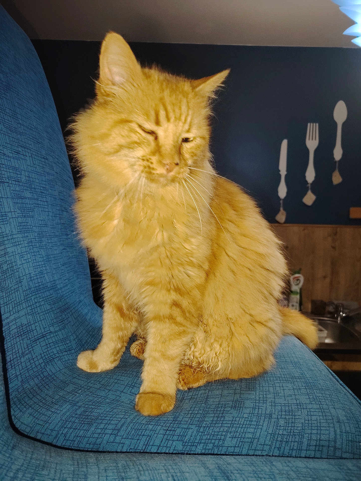 Garfield
