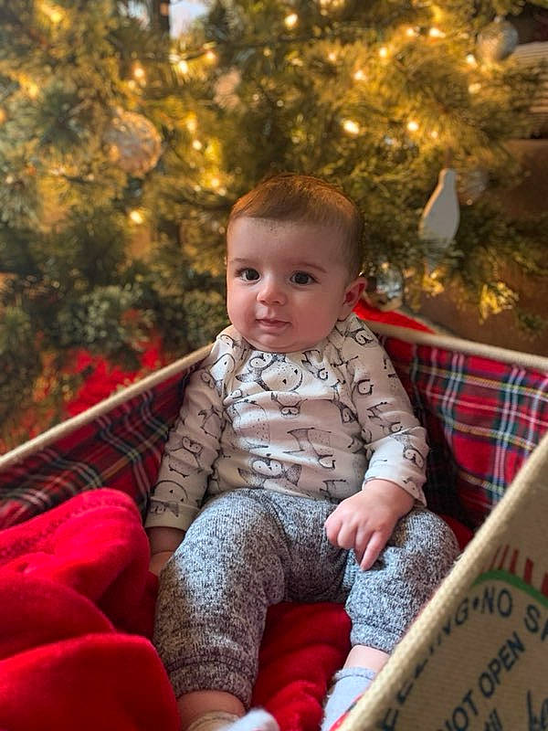 Benson joined the competition — help win amazing prizes! baby, child, christmas, christmas_eve, christmas_tree, design, holiday, lap, pattern, person, plaid, sitting, toddler, tree