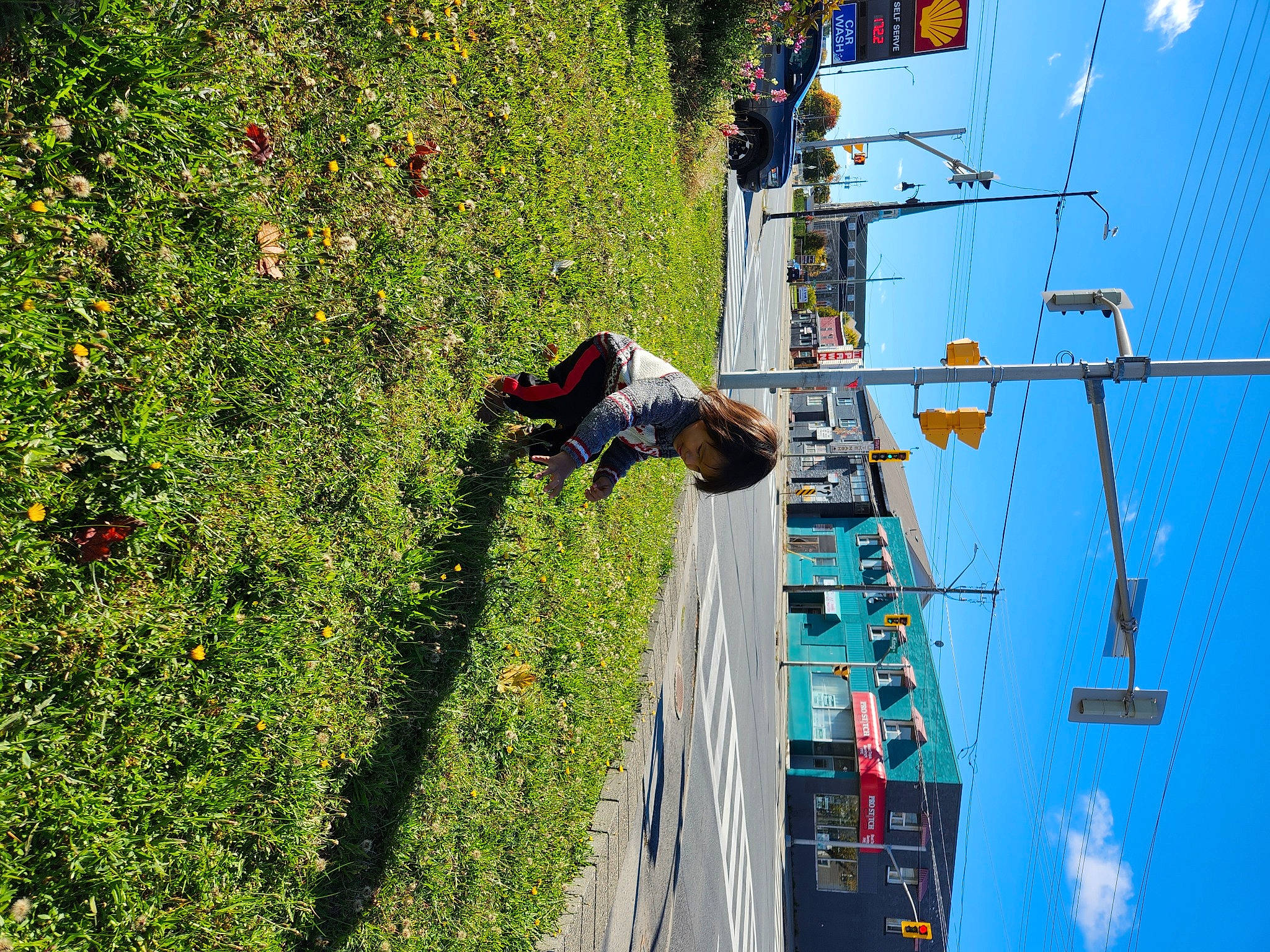 Alaric joined the competition — help win amazing prizes! adventure, blue, electric_blue, electrical_supply, electricity, facade, flower, fun, grass, leisure, line, neighbourhood, person, plant, pole, public_utility, recreation, shrub, sky, tree