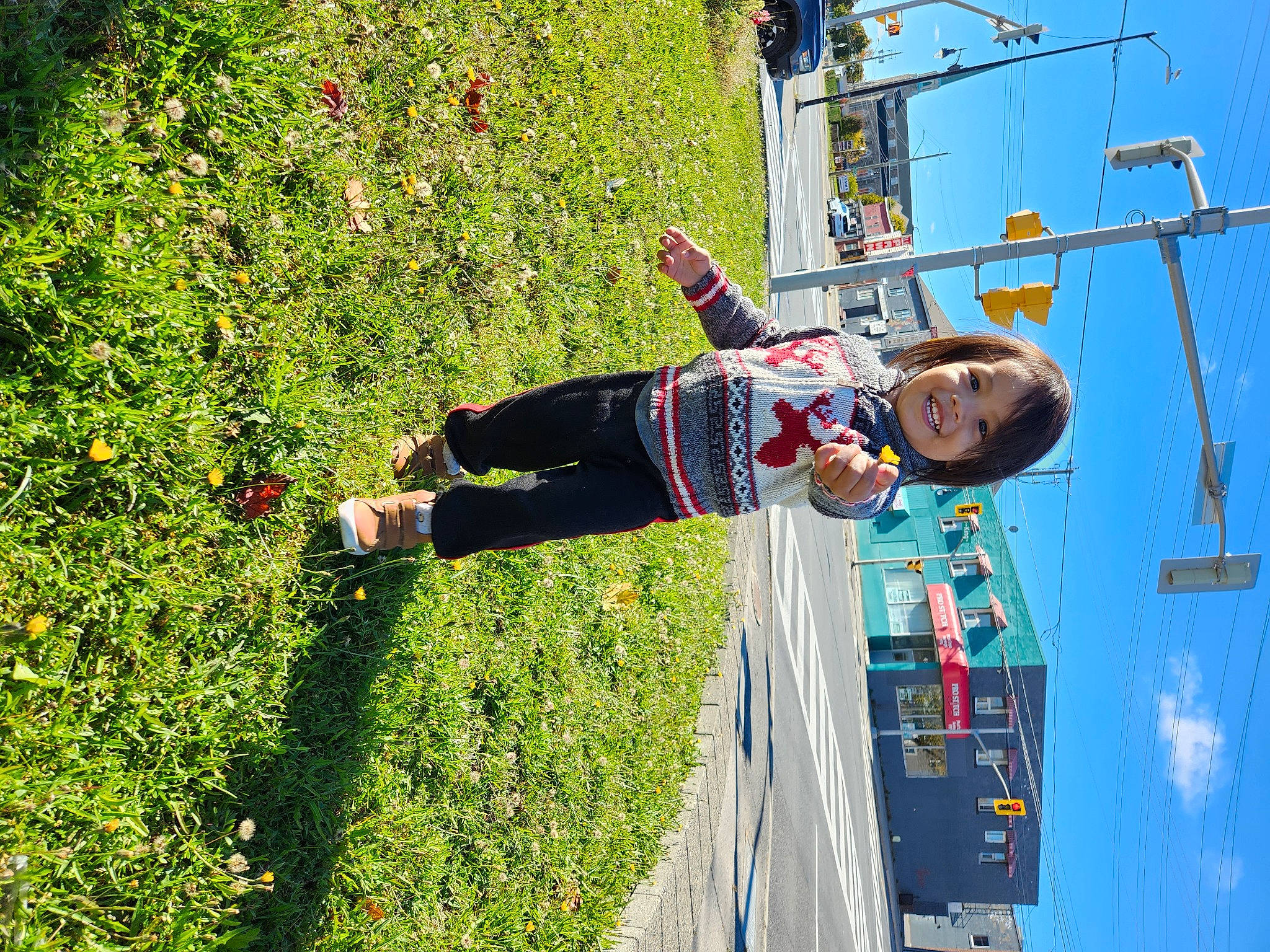 Alaric joined the competition — help win amazing prizes! adventure, cloud, electrical_supply, electricity, fun, grass, joy, leisure, overhead_power_line, people_in_nature, person, plant, pole, recreation, shrub, sky, smile, sports, trampolining_equipment_and_supplies, tree