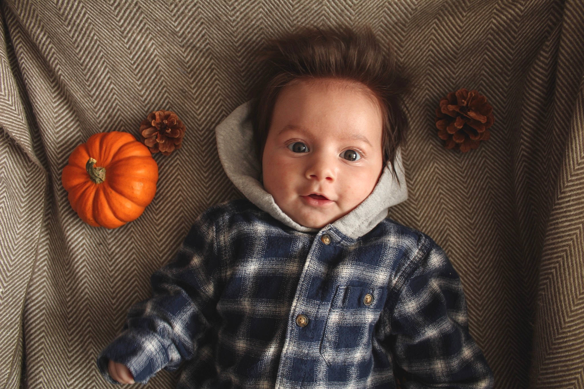 Cassius is registered to the contest to win money with this photo: baby_toddler_clothing, black, calabaza, cheek, comfort, cucurbita, eye, flash_photography, gourd, iris, organ, person, plaid, plant, pumpkin, sleeve, tartan, textile, toddler, winter_squash