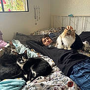 Daisy joined the competition — help win amazing prizes! person, cat, bed, blanket, window, pillow, floral_pattern, black_and_white_cat, tabby_cat, fluffy_cat, indoor, relaxation, casual_clothing, plaid_pants, stained_glass, necklace, wall, headboard, jewelry, resting