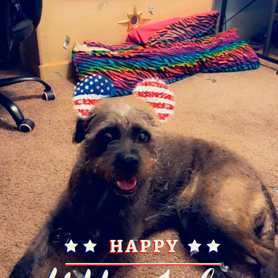 Nala