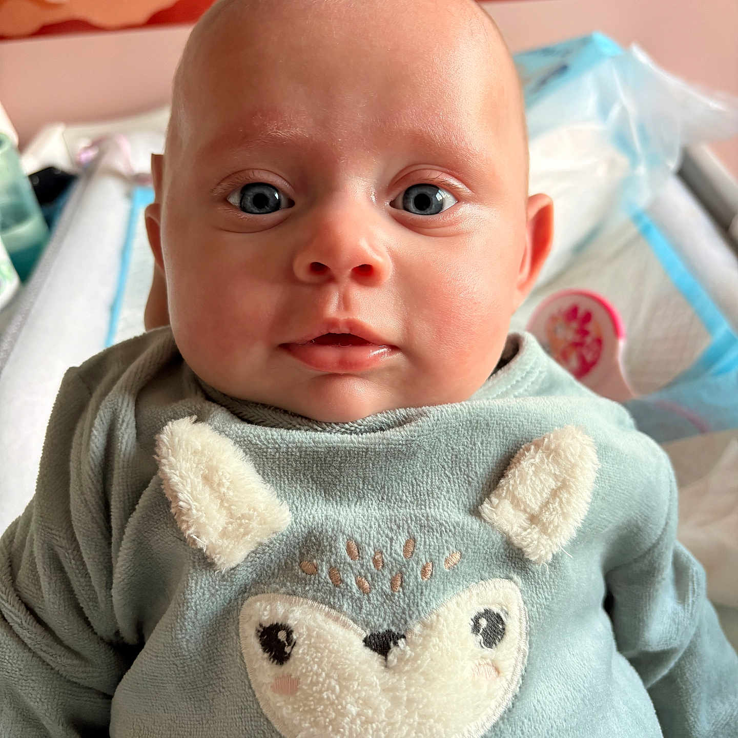 Louise participe au concours pour gagner de l'argent avec cette photo : baby, infant, face, blue_eyes, clothing, cute, expression, portrait, child, soft_texture, animal_design, indoors, warm_lighting, close_up, head, person, sitting, cute_outfit, young_child, adorable