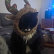 Louie joined the competition — help win amazing prizes! cat, black_and_white, reindeer_hat, costume, pet, indoor, living_room, couch, furniture, whiskers, fur, animal, holiday, decoration, cute, sitting, cozy, soft, face, ears