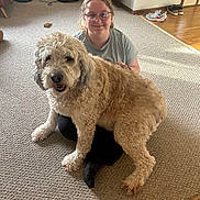 Murphy joined the competition — help win amazing prizes! dog, person, glasses, carpet, living_room, furniture, wood_floor, cabinet, shoes, robot_vacuum, smiling, sitting, curly_fur, indoor, pet, casual_clothing, light, home, comfort, friendly