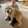 dog, person, glasses, carpet, living_room, furniture, wood_floor, cabinet, shoes, robot_vacuum, smiling, sitting, curly_fur, indoor, pet, casual_clothing, light, home, comfort, friendly
