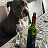 animal, brown_dog, chair, cork, dog, domestic, furniture, glass, home, indoor, leaf_pattern, looking, pet, seated, still_life, table, tablecloth, waiting, wine_bottle, wine_glass