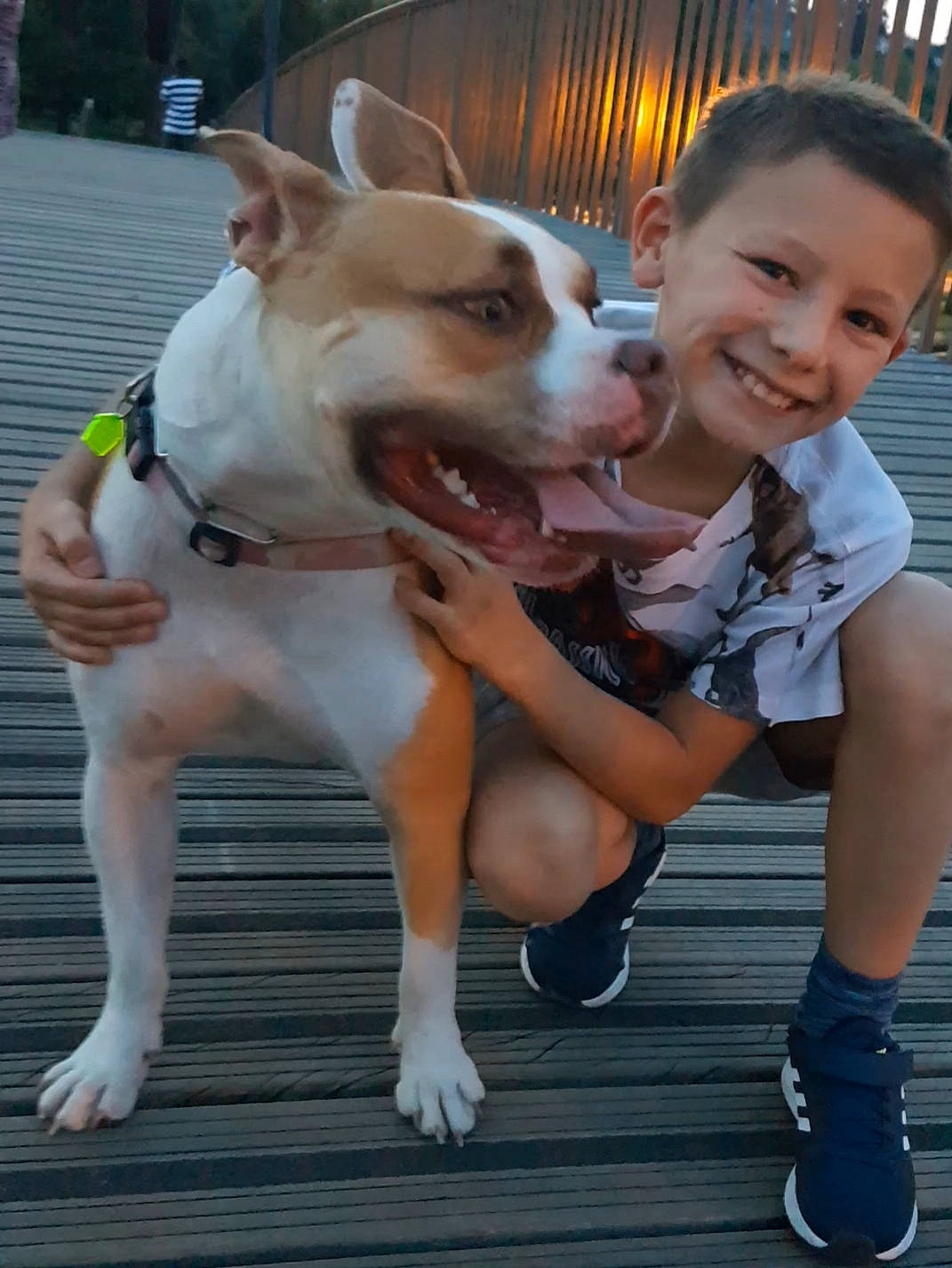 Mathys participe au concours pour gagner de l'argent avec cette photo : canidae, carnivore, collar, companion_dog, dog, dog_breed, dog_collar, fawn, happy, joy, leash, mammal, paw, person, photograph, recreation, smile, snout, sporting_group, tail