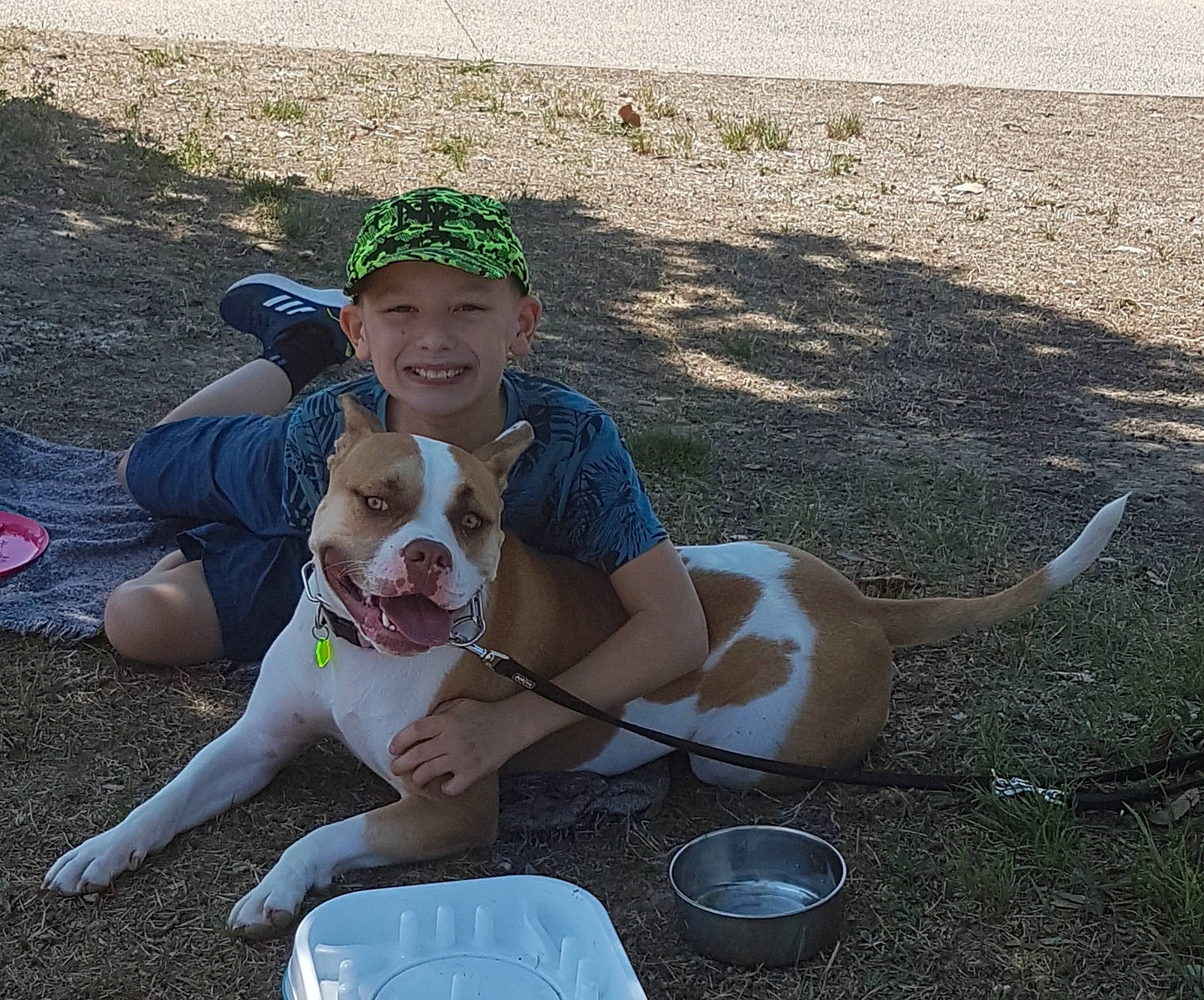 Mathys a rejoint le concours — aidez-le/la à gagner de superbes lots ! canidae, carnivore, companion_dog, dog, dog_breed, eyewear, fawn, fun, grass, happy, hat, headwear, human_leg, joy, knee, lap, leisure, person, shorts, smile