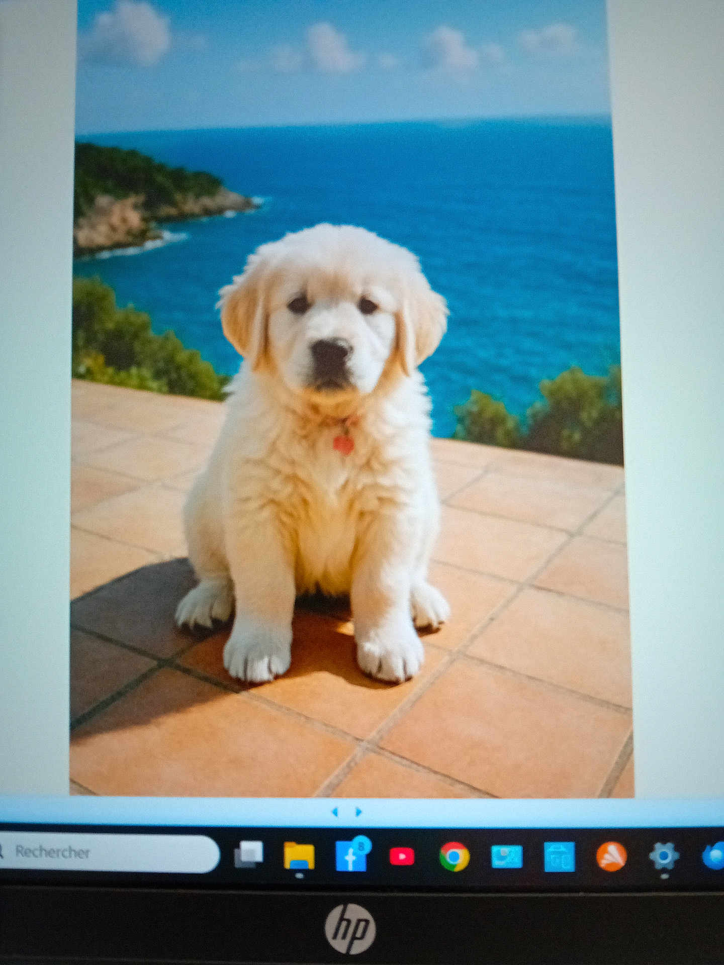 Mylan participe au concours pour gagner de l'argent avec cette photo : puppy, golden_retriever, dog, sitting, tile_floor, ocean, sea, water, sky, clouds, outdoor, nature, greenery, pet, young_dog, adorable, fluffy, canine, portrait, background