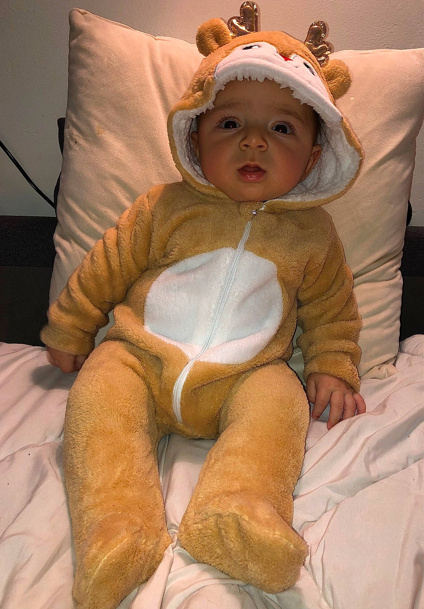 Zaïm a rejoint le concours — aidez-le/la à gagner de superbes lots ! baby, baby_sleeping, baby_toddler_clothing, cheek, child, comfort, eye, face, fur, hairstyle, happy, head, headband, headgear, headpiece, headwear, linens, person, sitting, skin