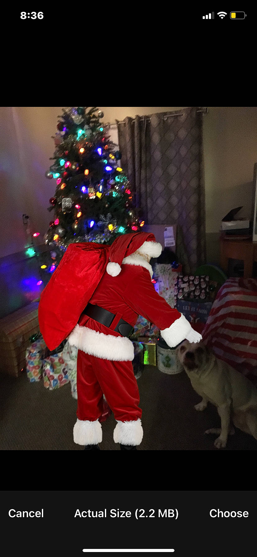 Deja joined the competition — help win amazing prizes! christmas, christmas_decoration, christmas_eve, christmas_lights, christmas_ornament, christmas_tree, conifer, costume_hat, event, evergreen, fun, hat, holiday, holiday_ornament, interior_design, lap, room, santa_claus, tradition, tree