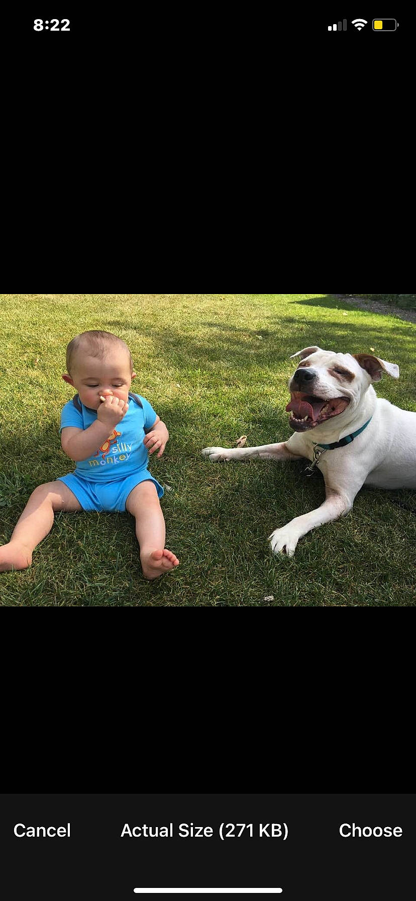 Deja is registered to the contest to win money with this photo: baby, baby_toddler_clothing, bulldog, carnivore, companion_dog, dog, dog_breed, dog_collar, fawn, flash_photography, fun, grass, happy, lawn, leash, mammal, plant, recreation, t_shirt, toddler