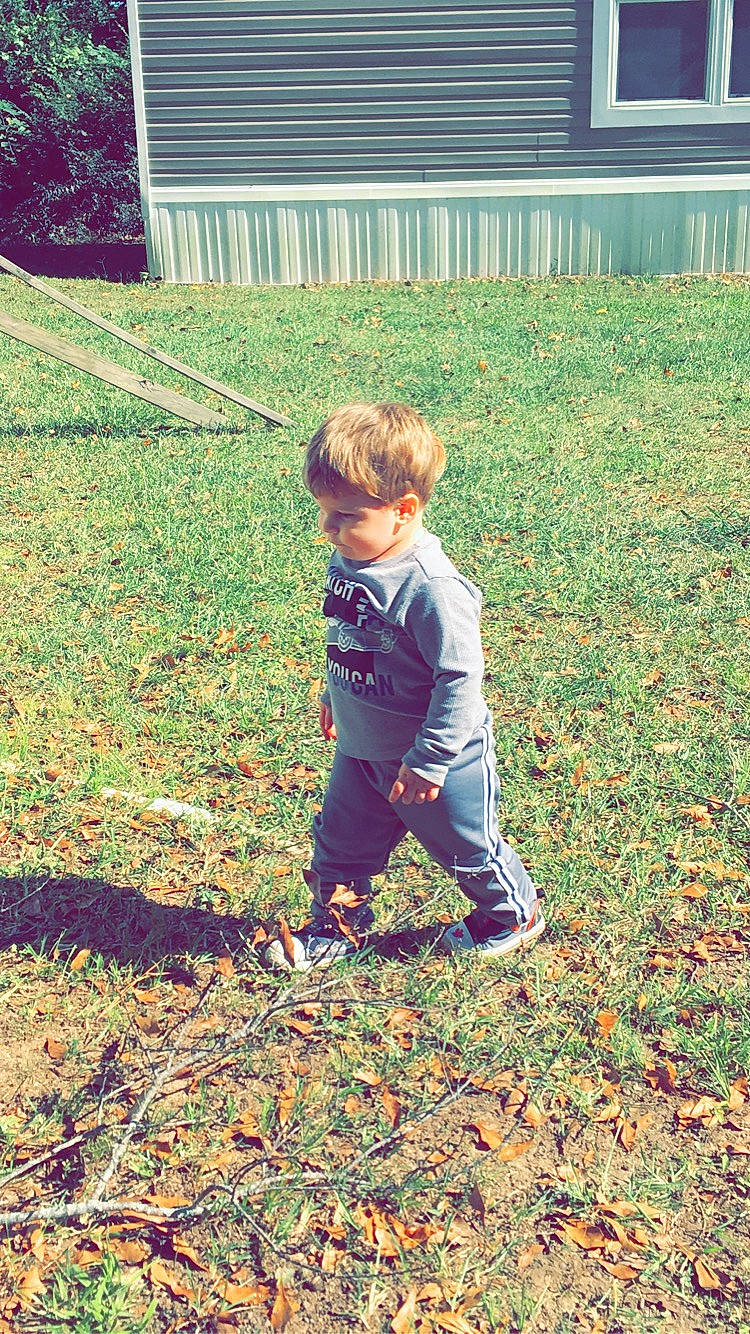 Hunter is registered to the contest to win money with this photo: backyard, child, garden, grass, lawn, leaf, person, plant, play, soil, toddler, tree, yard