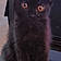 Binx