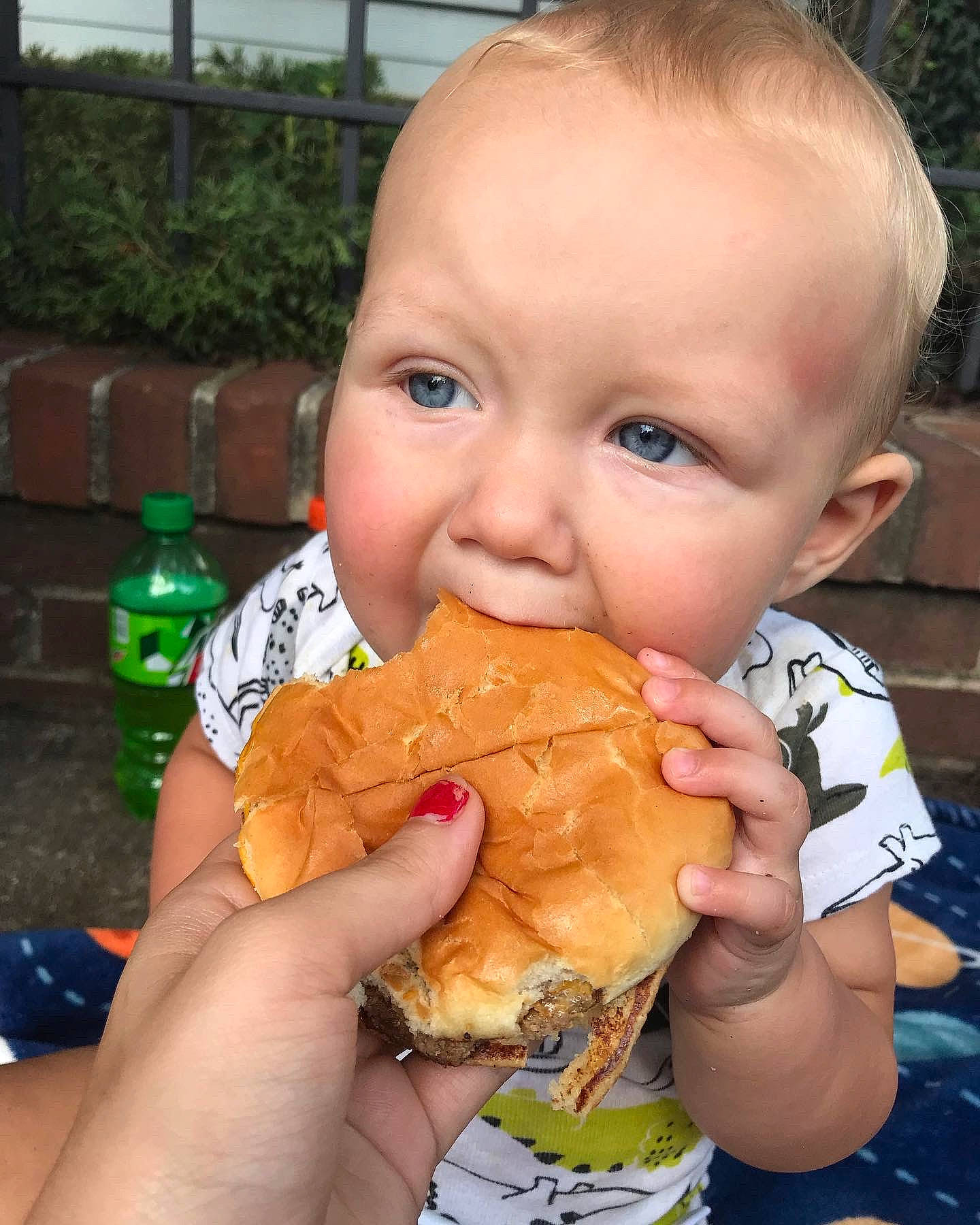 Jupiter joined the competition — help win amazing prizes! baked_goods, biting, bottle, cuisine, dish, fast_food, finger, finger_food, food, food_craving, fried_food, ingredient, junk_food, mouth, nail, person, plant, smile, sweetness, thumb