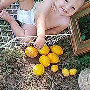 Ranger is registered to the contest to win money with this photo: toddler, child, diaper, basket, lemons, fruit, grass, outdoor, smiling, happy, face, blue_eyes, picture_frame, pot, dirt, nature, sunlight, hand, feet, playful