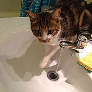 Xena participe au concours pour gagner de l'argent avec cette photo :
