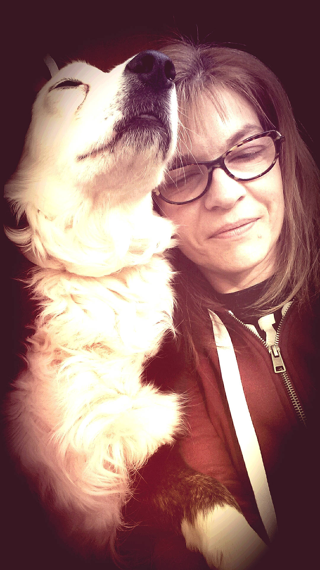 Chipsie participe au concours pour gagner de l'argent avec cette photo : canidae, carnivore, companion_dog, cool, dog, dog_breed, eyewear, fur, gesture, glasses, nose, photography, puppy_love, selfie, smile, sporting_group