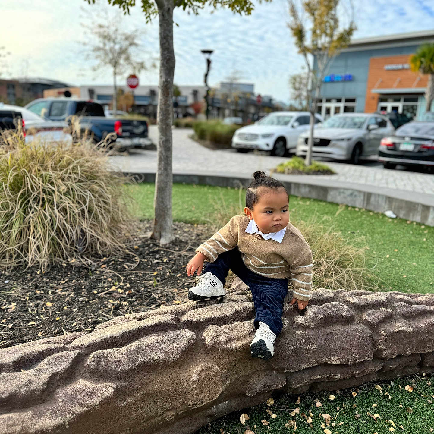 Malachi joined the competition — help win amazing prizes! boy, child, clothing, face, grass, head, jeans, male, nature, outdoors, pants, park, path, person, photography, plant, portrait, sitting, tree, vegetation
