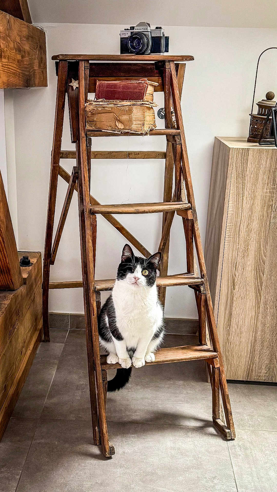 Pirate participe au concours pour gagner de l'argent avec cette photo : cat, black_and_white_cat, wooden_ladder, vintage_camera, old_books, indoor, floor_tiles, furniture, curious, pet, animal, sitting, wood, decor, cozy, home, portrait, domestic_cat, resting, looking