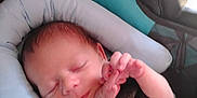 Antonio joined the competition — help win amazing prizes! baby, car_seat, child, closeup, comfort, cute, face, hands, indoor, infant, newborn, peaceful, relaxed, resting, seatbelt, sleeping, soft, straps, tiny, young